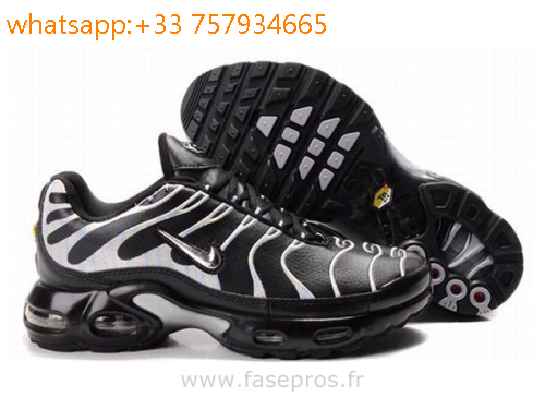 date de sortie des tn